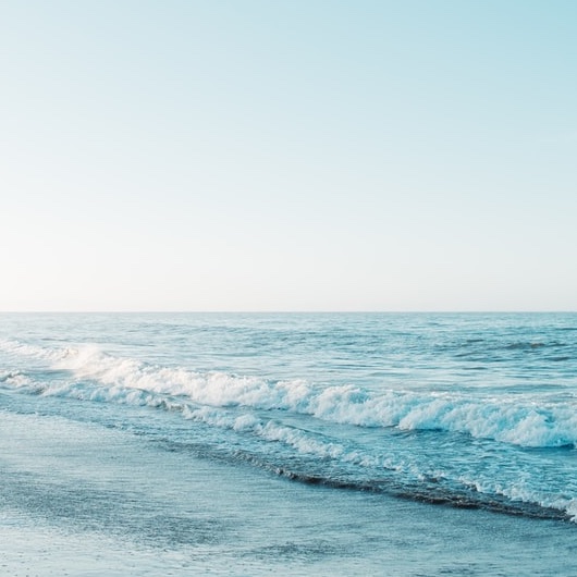 タンパク質変性温度